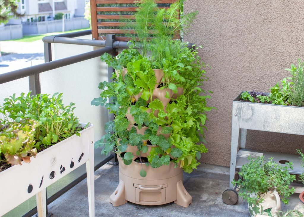 vegetables being grown in containers on a balcony