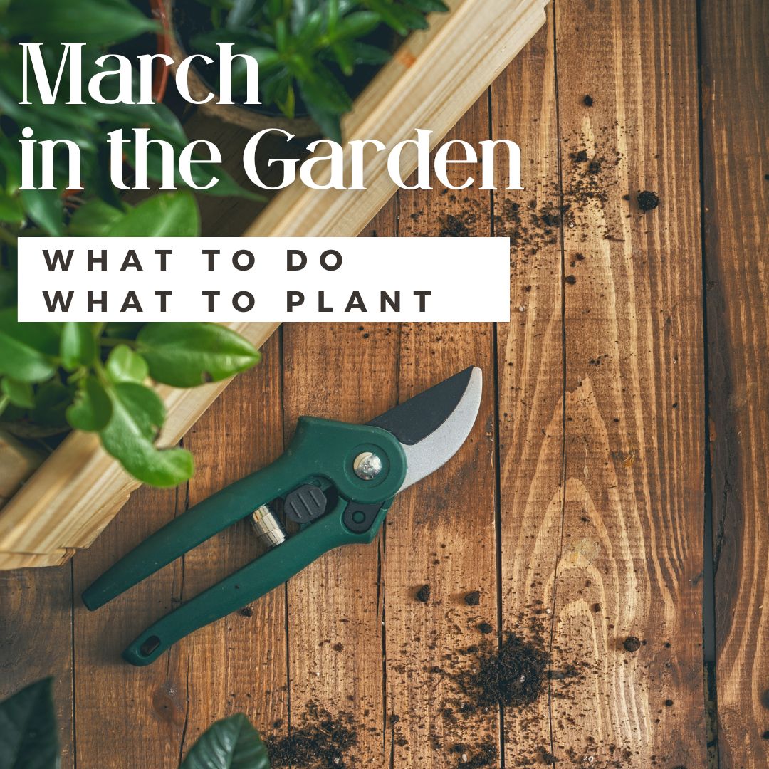 a garden scene with the words March in the Garden