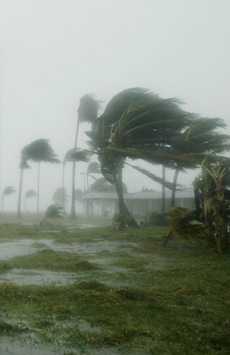 scene of hurricane