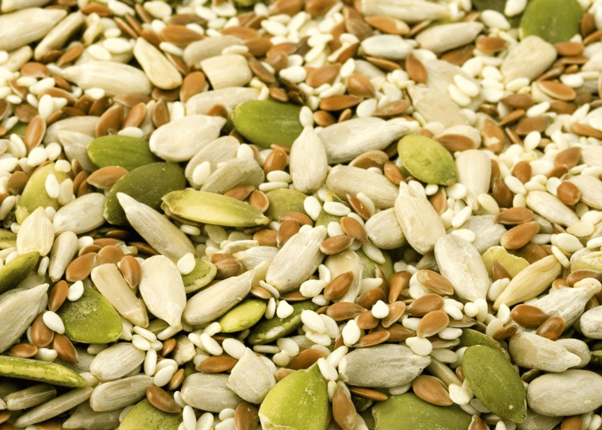 different types of seeds mixed together