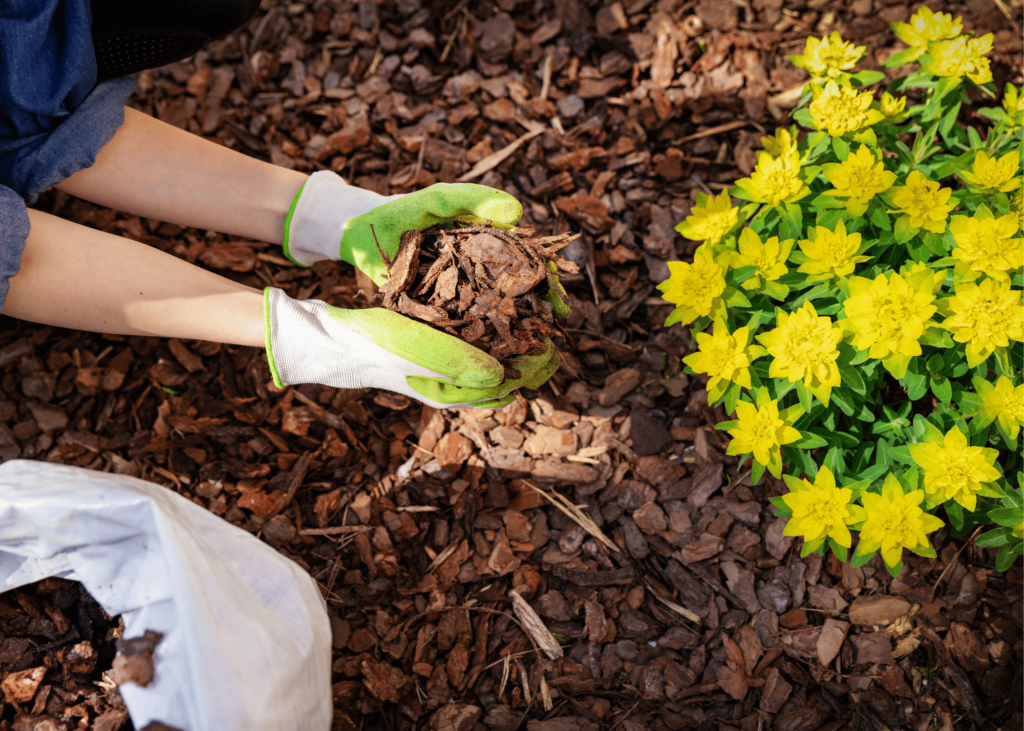 putting mulch in a garden bed 