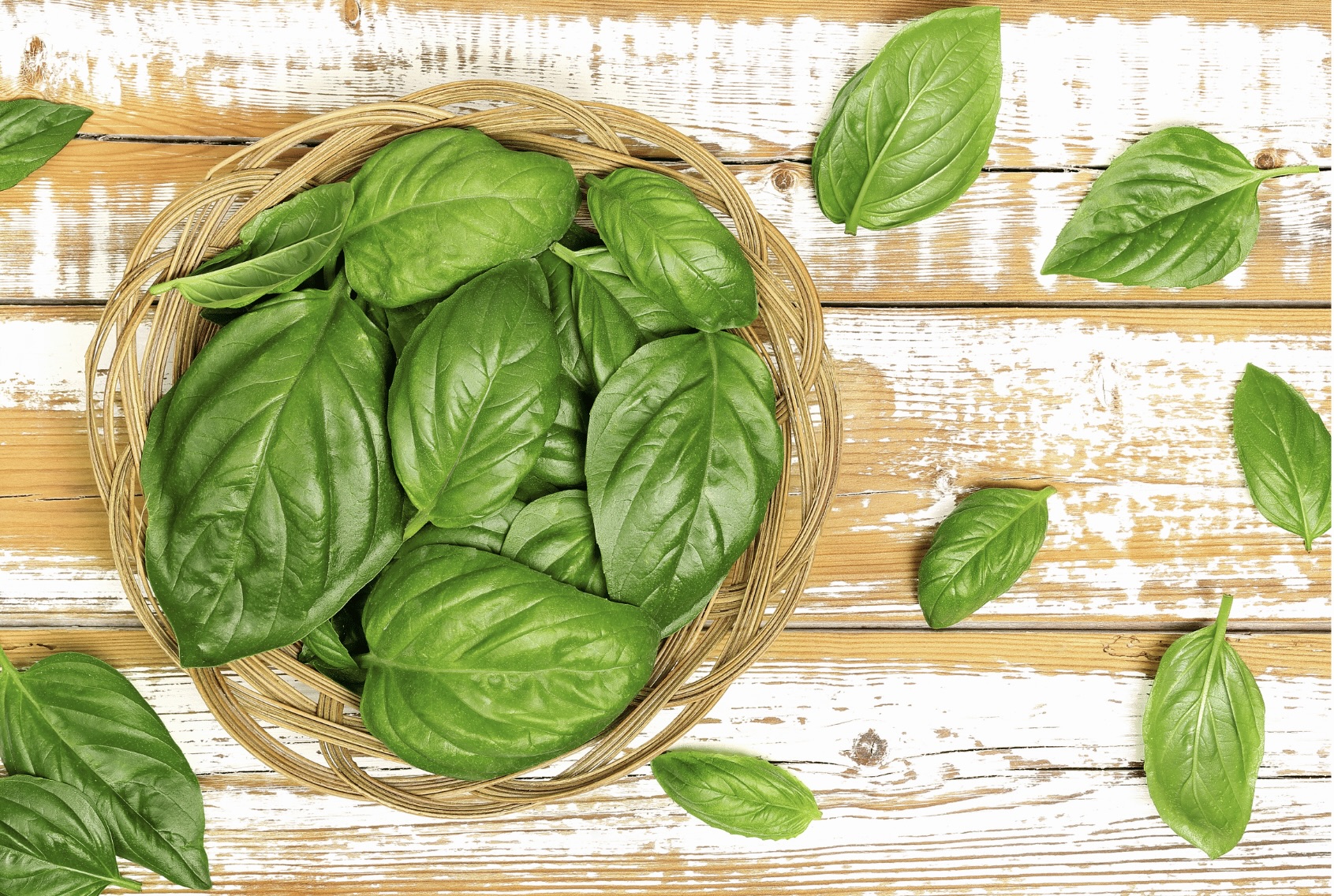 photo of basil leaves in a bowl on a wood table