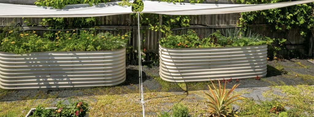 shade cloth covering vegetable beds