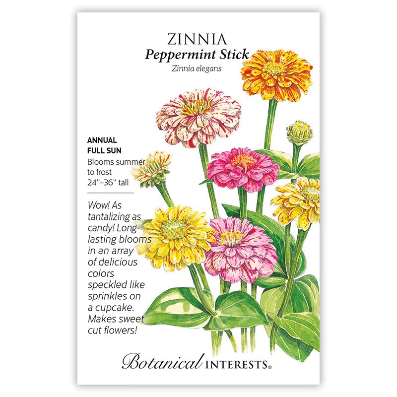 peppermint stick zinnia seed packet from Botanical interests