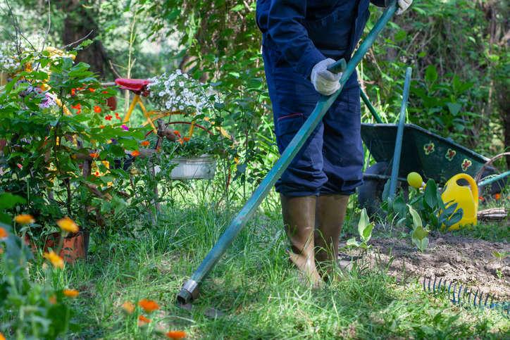 working in the garden 