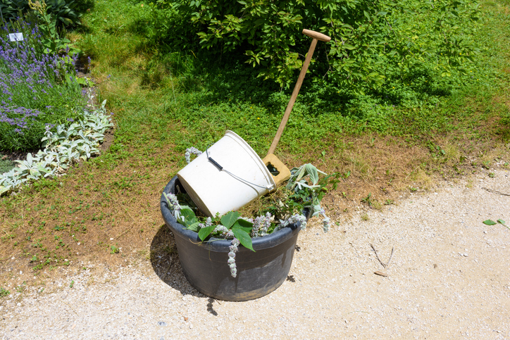 cleaning up the garden