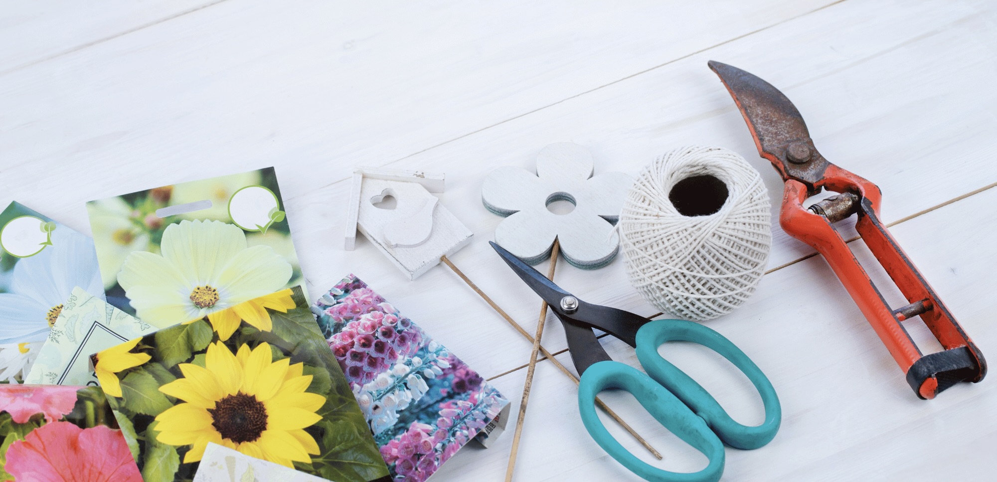 packets of seeds and gardening tools