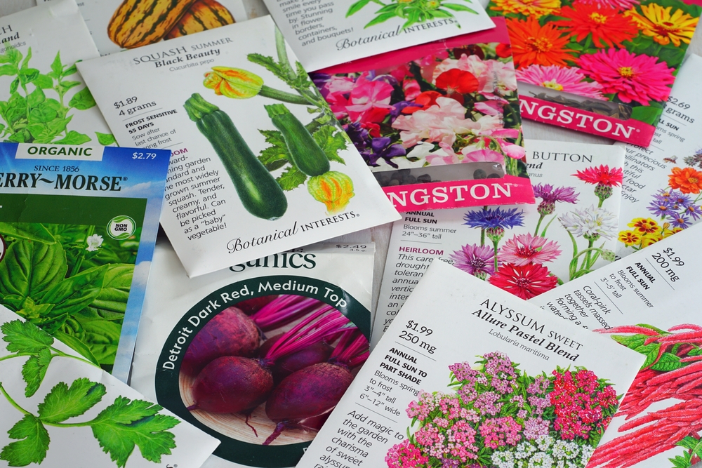 different seed packets
