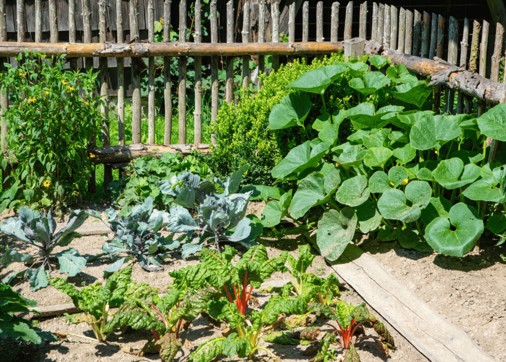 fencing around a garden