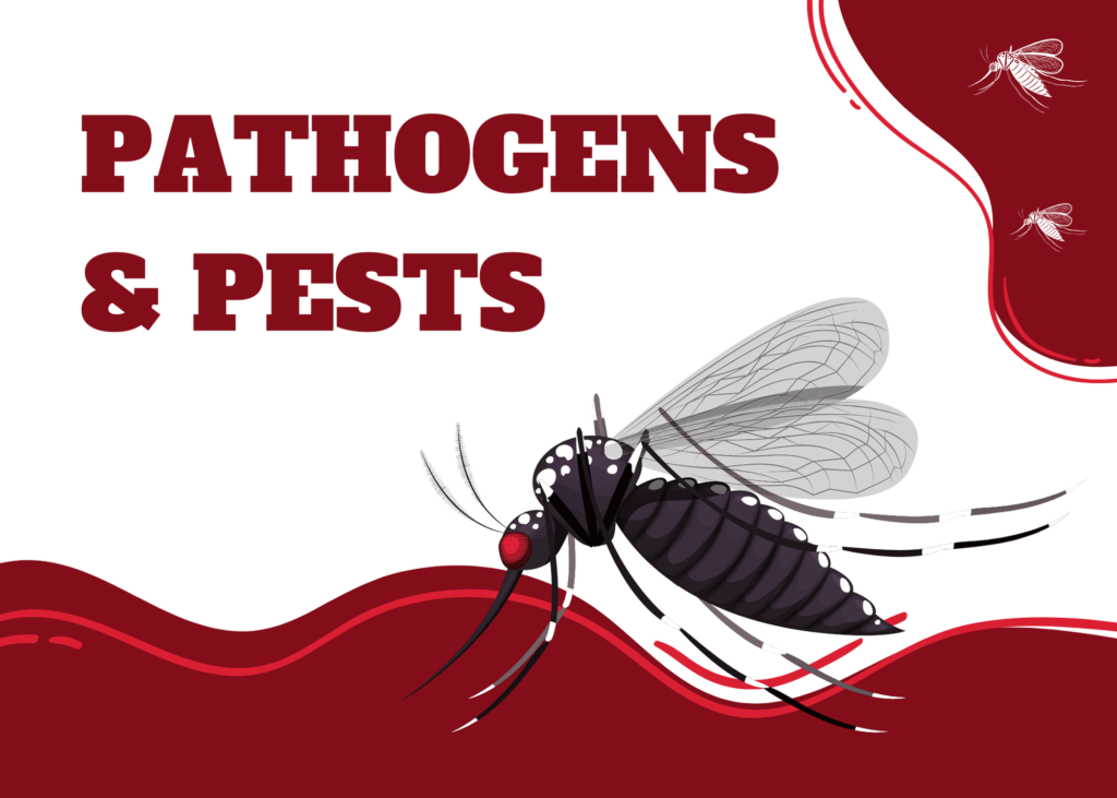 cover photo - graphic of mosquito with the words "Pathogens and Pests"