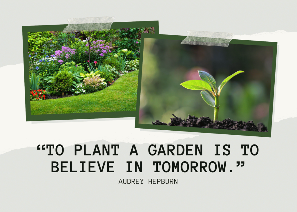 quote from Audrey Hepburn, to plant a garden is to believe in tomorrow