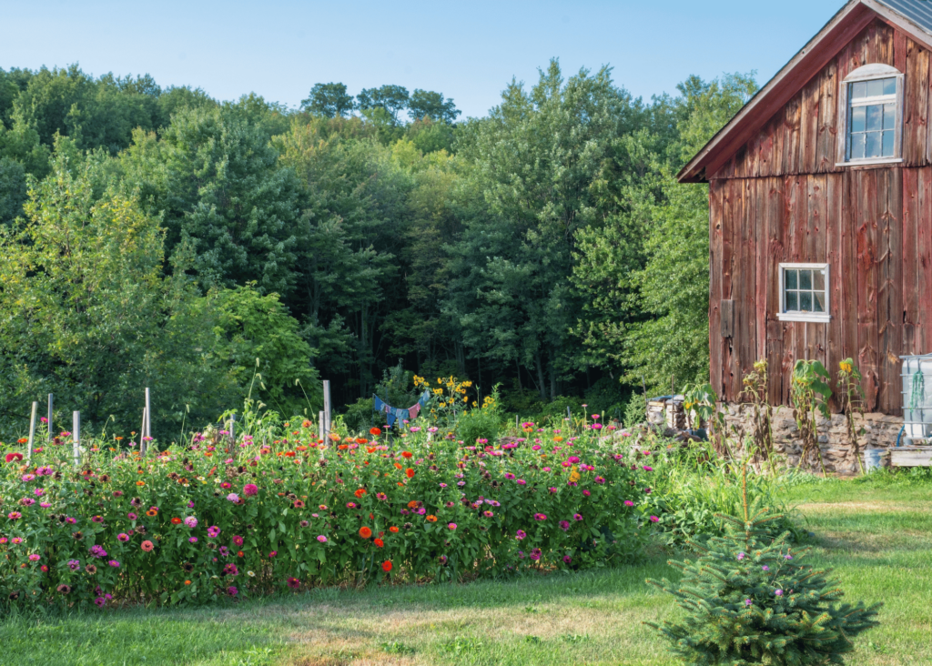 a beautiful homestead with garden 