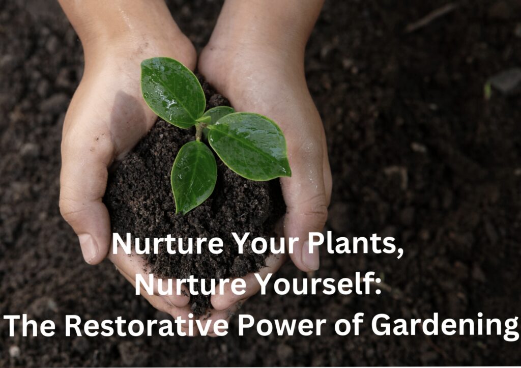 cover slide for this blog, two hands holding a plant in dirt with the words overlain "Nurture Your Plants, Nurture Yourself:  The Restorative Power of Gardening"