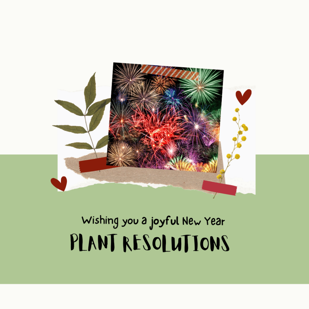 Happy New Year - Plant Resolutions Cover Page