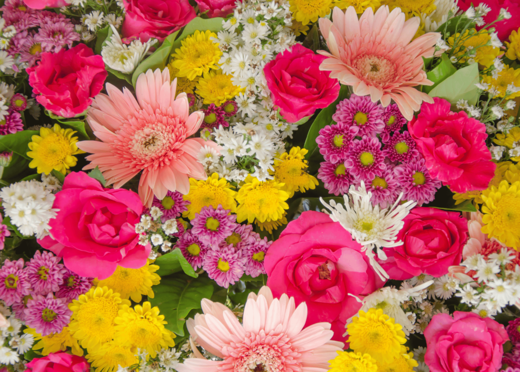 a variety of beautiful flowers in pinks, reds, yellows, purples, and whites