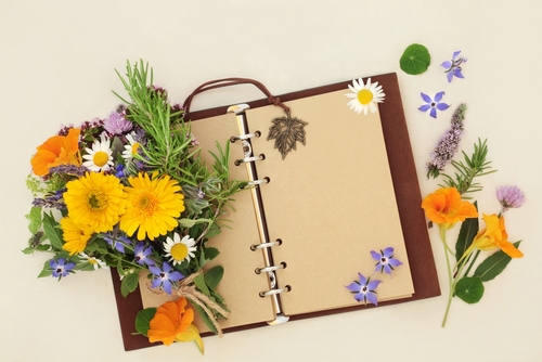 a photo of a journal (notebook with empty pages) with flowers....to support the idea of starting a garden journal